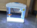 森森桌面鱼缸生态玻璃小型懒人免换水家用缸鱼缸一体缸自循环 (高清玻璃)白230(带20件套) 实拍图