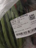 无筋豆约300g(豆王) 实拍图