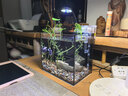 金晶超白玻璃桌面鱼缸小型家用办公室生态懒人全套造景小缸水草缸 裸缸+水草灯+过滤器 22*15*20 实拍图