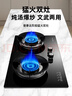 荣事达燃气灶液化气煤气灶双灶嵌入式家用5.0kw大火力玻璃聚能熄火保护管道气猛火灶具RSD-R104 液化气 实拍图
