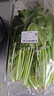 大菠菜300g 实拍图