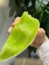 蔬农联 头茬 玉菇甜瓜冰淇淋香瓜甜瓜当季新鲜水果现摘现发礼盒 精选5斤装（净重4.5斤） 实拍图