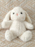 名创优品（MINISO）塔妮兔乖乖坐姿公仔兔子毛绒玩具儿童玩偶抱枕娃娃送礼生日礼物 实拍图