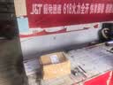 绿有意金钻盆栽植物水培绿植花卉多肉办公室内去吸除甲醛铂金钻绿公主 【2盆】金钻25cm3棵(早安盆) 含盆 实拍图