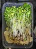 新鲜【香椿】芽苗菜可食用香椿苗香春苗冷艺新鲜蔬菜苗菜摆盘装饰 椿香浓郁香椿苗400克两盒装 实拍图