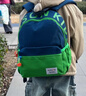 Edison爱迪生幼儿园书包学前班小学生儿童户外研学旅游出行小背包L02-2s 实拍图