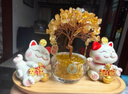 赟娅黄水晶发财树招财猫入户玄关办公室桌面摆件家居装饰乔迁生日礼物 招财猫发财树套装【高档礼盒】 实拍图