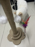 HELLOJOY猫抓柱剑麻猫抓板猫玩具耐抓耐磨不掉屑猫爬架立式自嗨解闷用品 实拍图