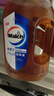 威露士（Walch）消毒液2L衣物除菌液灭甲流感病毒消毒水家居卫生宠物杀菌非84酒精 实拍图