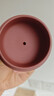 京东京造 宜兴紫砂壶 手工茶壶【原矿紫泥】煮泡茶具 德钟壶238ml礼盒装 实拍图