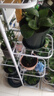 蜗家花架客厅落地式多层铁艺置物架室内阳台绿萝多肉植物摆放花盆架白 实拍图