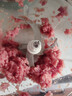 苏泊尔（SUPOR）绞肉机家用 绞馅机电动多功能料理机打肉馅蒜蓉机打肉机绞肉机JR70-B150 实拍图