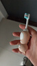 贝博氏babybox婴儿牙刷细软毛儿童牙刷乳牙牙刷1-3岁领结熊2支装套装 实拍图
