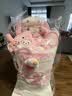 AWHAHelloKitty玩偶花束库洛米卡通毛绒玩偶花束生日礼物送女朋友 粉色美乐蒂玩偶花束+礼袋灯串 实拍图