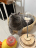 喵达纯鲜肉冻干鳕鱼鸡肉粒0添加猫零食猫咪增肥全期宠物食品150g 实拍图