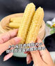 京鲜生云南香糯小玉米4斤 西双版纳小花糯 黏玉米低脂健身源头直发 实拍图