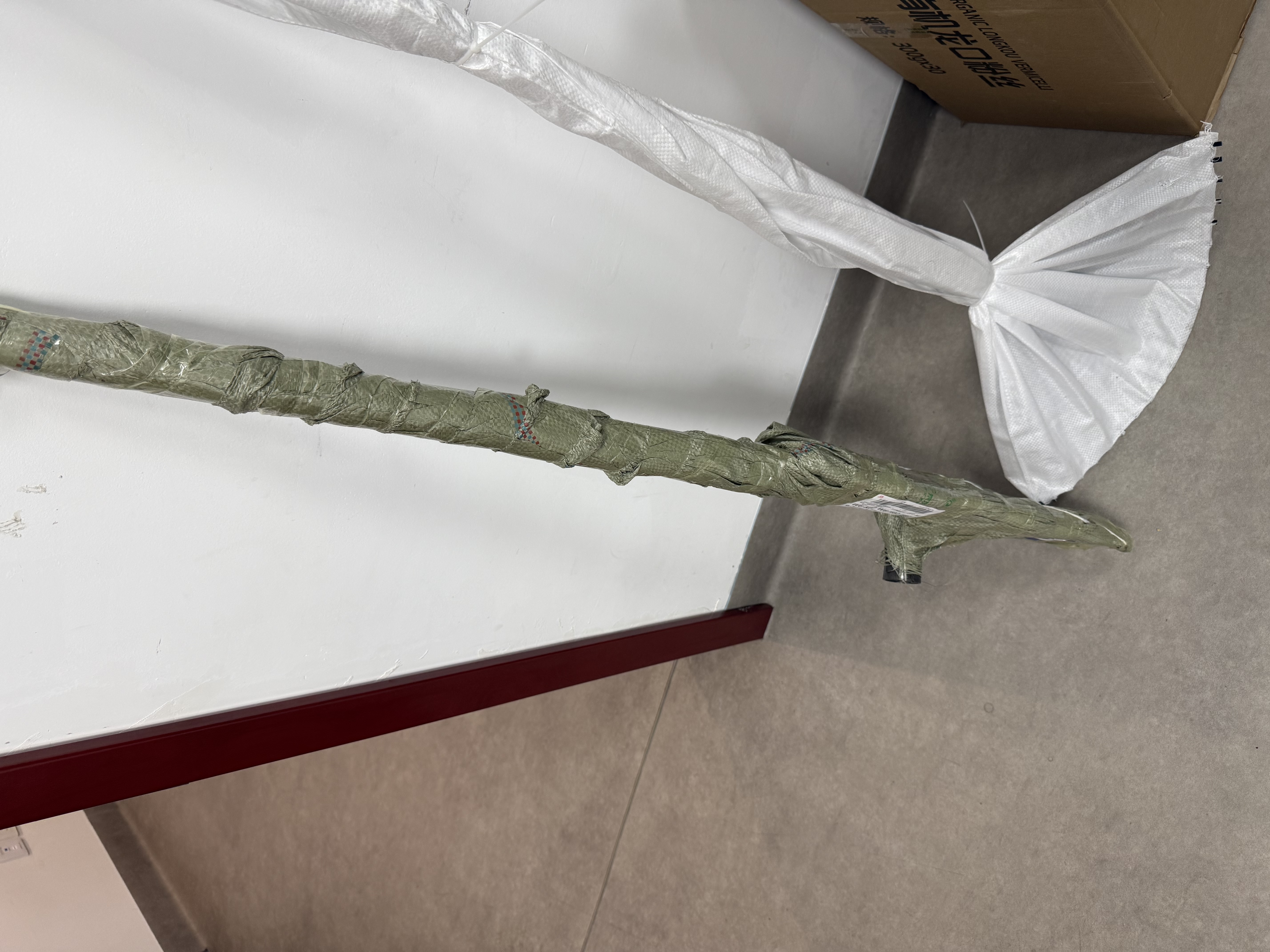 锋上不锈钢小锄头 铁耙两用赶海农具挖田神器家用种菜挖地镐园艺笋 实拍图