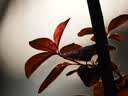 奥之心（OM SYSTEM）M.ZUIKO DIGITAL ED 100-400mm F5.0-6.3 IS 远摄变焦镜头 奥林巴斯微单镜头 实拍图
