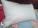 拉芙菲尔枕头芯五星级酒店枕头颈椎枕升级抑菌成人家用高弹枕芯一对拍2 实拍图