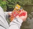西部风鲫鲤鱼饵黑坑颗粒江河野钓打窝料 老坛谷麦（麝香) 450g /包 实拍图