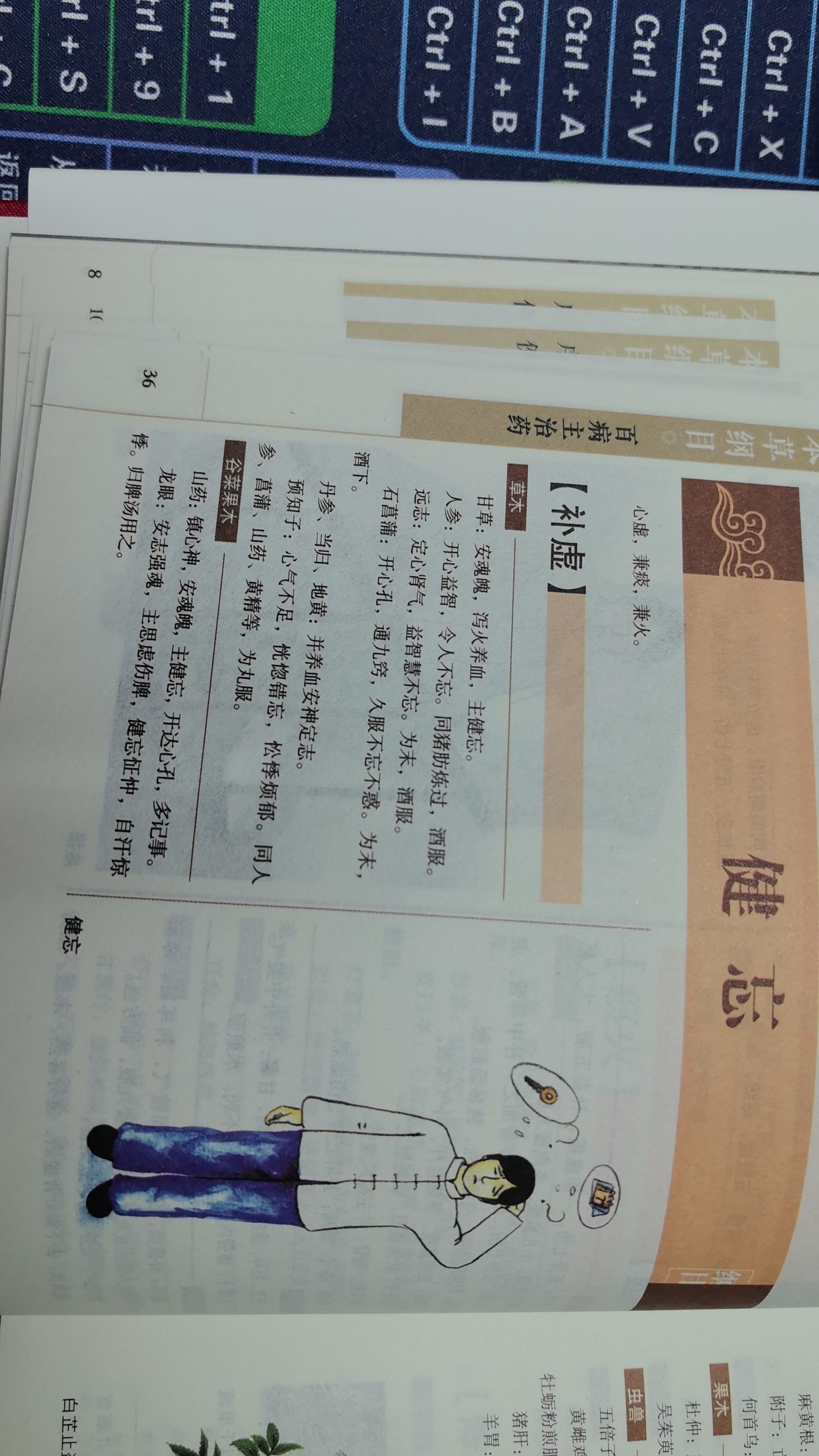 中医名著合集：黄帝内经+本草纲目（套装共2册 布面精装 彩图珍藏版）家庭中医养生书籍大全医学全书 中医知识自学入门零基础 晒单实拍图