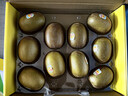 佳沛（zespri）新西兰 新果季 阳光金奇异果10粒巨大果单果146-175g 猕猴桃 实拍图