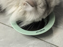 BD飞碟猫碗陶瓷釉下彩宠物饭碗吃粮喝水 磨砂绿色飞碟猫碗 实拍图