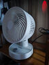 康佳（KONKA）空气循环扇家用风扇台式电风扇轻音节能涡轮对流换气扇摇头电扇交流定频小风扇空调伴侣KF-XH2012S 实拍图