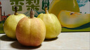 京鲜生 新疆库尔勒香梨 4.5斤装 特级 单果120g+ 生鲜水果 实拍图