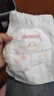 好奇（Huggies）铂金装小桃裤成长裤XXL74片(15kg以上)尿不湿【透爽散热】 实拍图