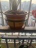 紫砂陶瓷花盆特大号花盆粗砂陶土大码陶瓷盆批发落地盆景花卉绿植 口径22cm 1个盆+托盘 实拍图