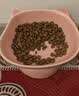 乐优派陶瓷猫碗高脚猫食盆护颈防打翻猫狗喝水碗宠物碗 粉色可爱猪 实拍图