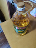 金龙鱼 食用油 非转基因 压榨 一级 纯正玉米油4L（新老包装随机发货） 实拍图