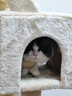 华元宠具（hoopet）猫爬架超大型猫窝猫树一体特大号猫爬柱猫架子猫玩具用品猫咪别墅 实拍图