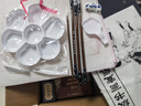 荣宝斋 国画颜料毛笔套装 初学者小学生儿童中国画兼毫毛笔用品全套入门一整套 12色入门12件套 实拍图