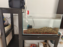 德力隆鱼缸架子鱼缸柜鱼缸桌龟缸架鱼缸底座金属钢架承重多层鱼缸架 适用长60宽40高40缸【总长90】. 实拍图