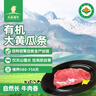 天莱香牛 新疆有机黄瓜条牛肉300g 【真原切】 实拍图