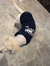 派乐特狗狗猫衣服保暖比熊泰迪博美小型犬条纹宠物秋冬天季装xxl号 实拍图