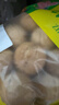 松香佳人新疆185纸皮核桃薄皮核桃原味新货阿克苏特产孕妇老人坚果零食 新疆185纸皮核桃【5斤】手捏即开 实拍图