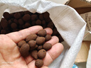 陶粒通用型垫底陶粒养花专用花盆铺面陶土种植土兰花多肉营养土 5升园艺陶粒（中颗粒12-16mm） 实拍图