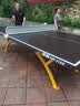 双鱼（DOUBLE FISH） 室外乒乓球台球桌标准SMC一体化面板家用户外防水防晒乒乓球案子 SW-318X 室外球桌 抗老化台面 实拍图