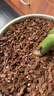 美乐棵 天南星科营养土养花花肥园艺种植土花土肥料盆栽绿植专用土壤8L 实拍图