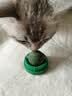 【京东快递】猫薄荷球猫玩具自嗨解闷猫咪用品磨牙棒神器逗猫棒 猫薄荷2颗装 实拍图