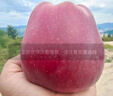 京鲜生 甘肃天水花牛苹果 又大又红 6粒尝鲜装 单果160-190g 生鲜水果 实拍图