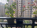 长万家花架置物架窗台家用窗沿挂式花盆架铁艺阳台多肉悬挂室内花架子 心形圆角50*20*12cm 实拍图