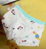 尼多熊儿童内裤男童A类纯棉宝宝婴儿小童四角平角小孩中大童短裤不夹PP 实拍图