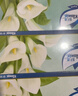 舒洁（Kleenex）抽纸马蹄莲盒装纸抽2层200抽*3盒纸巾抽纸卫生纸餐巾纸擦手纸 实拍图