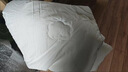 罗莱家纺 100%新疆棉花全棉春秋被子 吸湿透气四季被芯 重约4.8斤 实拍图