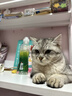 凯锐思 美短专用猫粮幼猫成猫深海鱼鱼肉猫食天然粮 美短2kg 实拍图