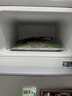 华宝小冰箱小型家用出租房用冷藏冷冻两用一级能效节能省电迷你宿舍寝室办公室二门电冰箱 【店长推荐】58L银色【一级能效】 实拍图